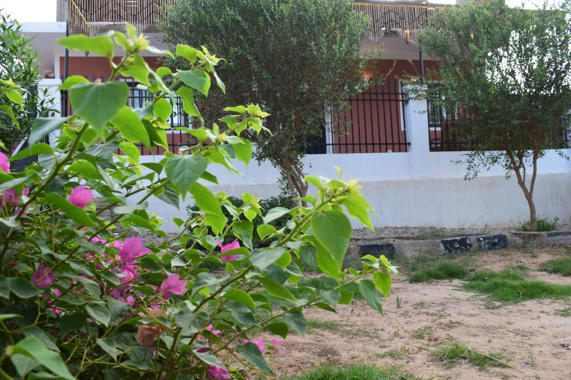 Karma Kono Villa Abu Simbel Bagian luar foto